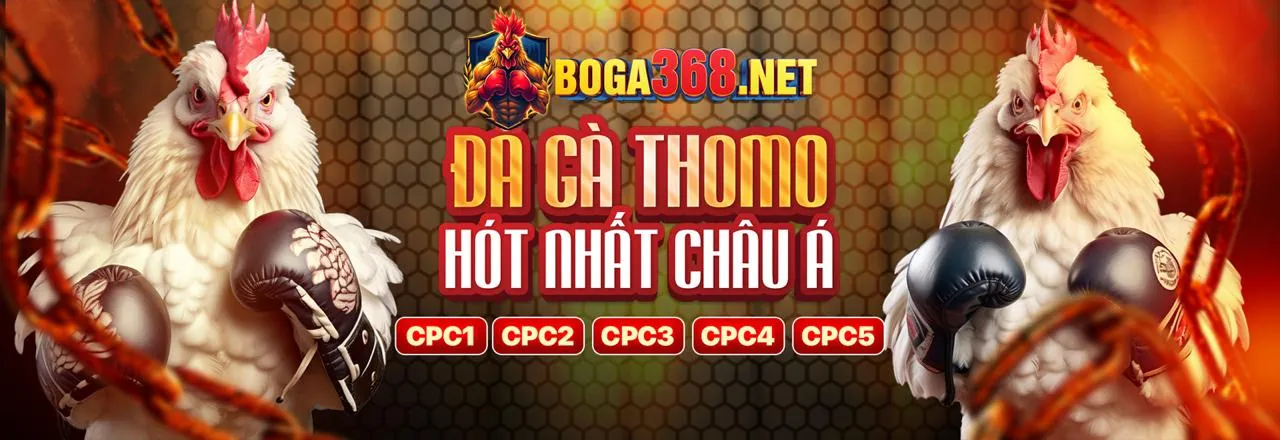 Giao diện cá cược trực tiếp